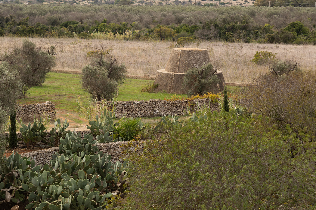 Campagna salentina con muretti a secco, vegetazione mediterranea e antica costruzione rurale.