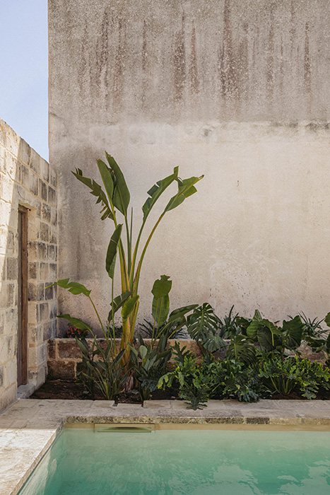 Piscina con vegetazione tropicale e pareti in pietra e calce.